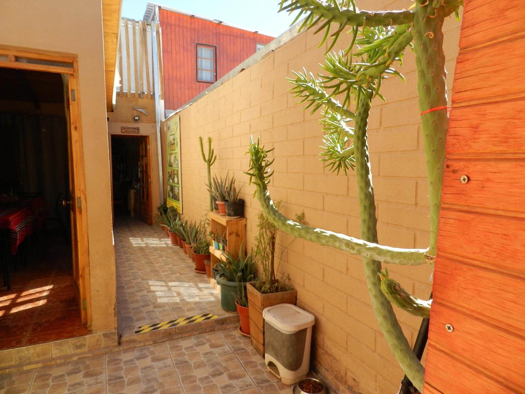 Hostal Illari San Pedro de Atacama Exteriör bild